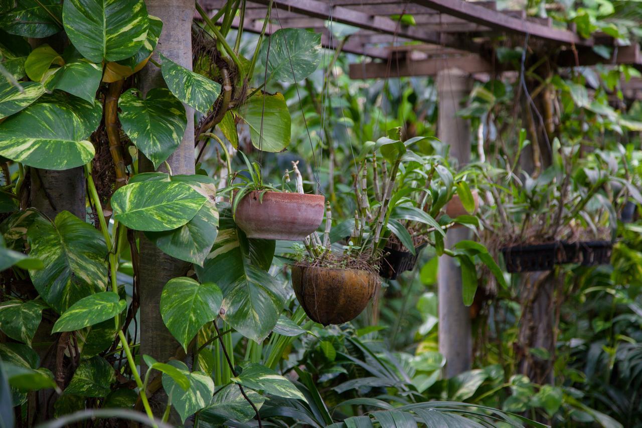 Hotel Tropica